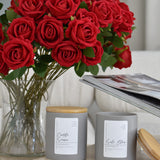 The Love & Glow Duo: Cuddle Season & Solo Glow